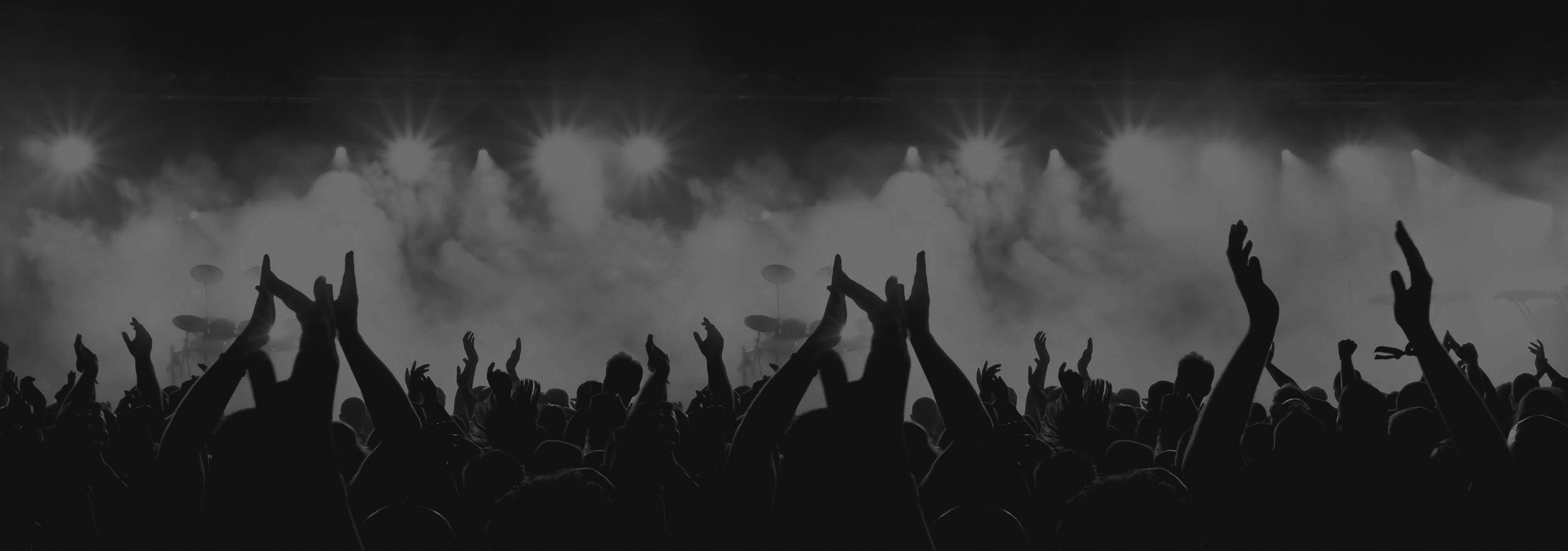 Festival Crowd Header